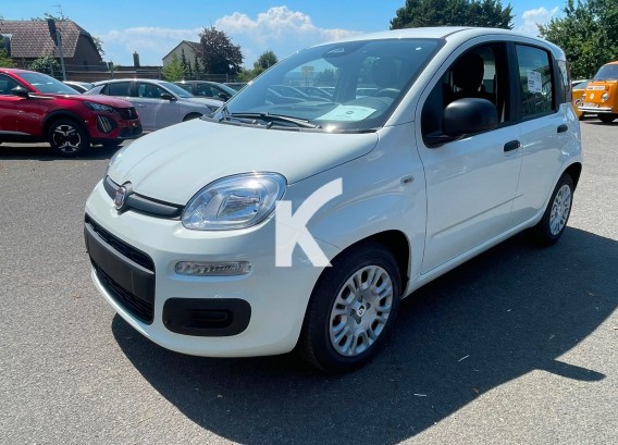 FIAT PANDINAFIAT PANDINA : image 1