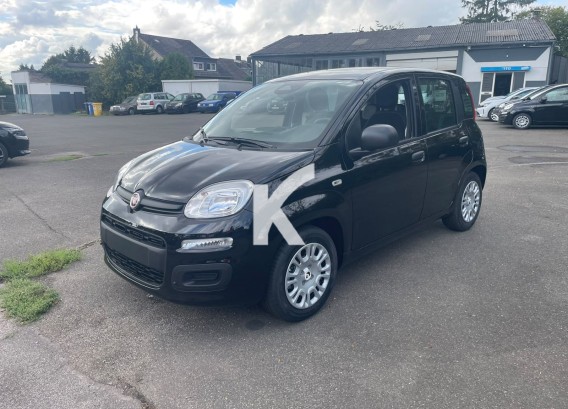 FIAT PANDAFIAT PANDA : image 1