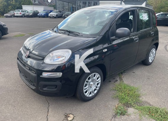 FIAT PANDAFIAT PANDA : image 1