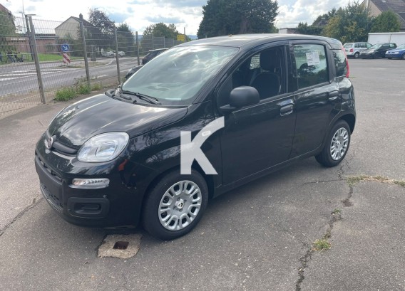 FIAT PANDAFIAT PANDA : image 1