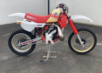 Photo du véhicule YAMAHA 250 YZ