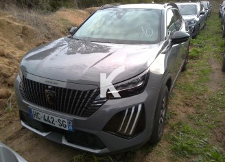 Photo du véhicule PEUGEOT 2008 ELECTRIQUE