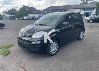 Photo du véhicule FIAT PANDA