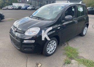 Photo du véhicule FIAT PANDA