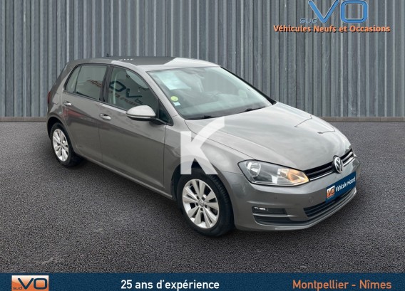 VOLKSWAGEN GOLF BUSINESSVOLKSWAGEN GOLF BUSINESS : image 1