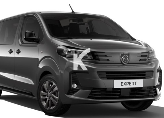 PEUGEOT EXPERT CABINE APPROFONDIEPEUGEOT EXPERT CABINE APPROFONDIE : image 1
