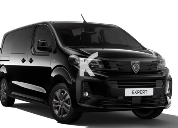 PEUGEOT EXPERT CABINE APPROFONDIEPEUGEOT EXPERT CABINE APPROFONDIE : image 1
