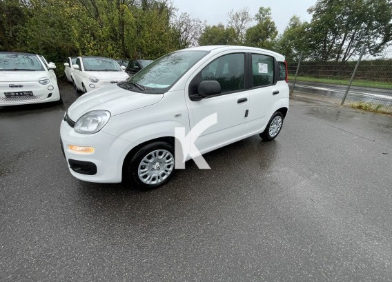 FIAT PANDINAFIAT PANDINA : image 1